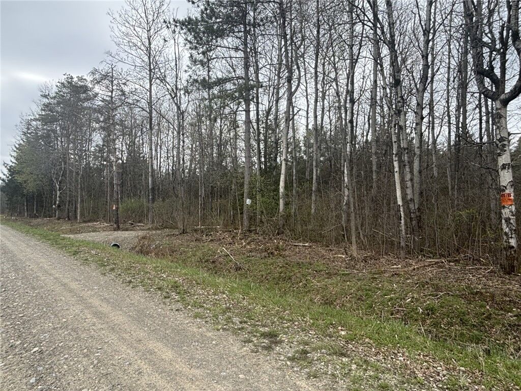 Property Photo:  Vl Wagner Road  NY 14437 