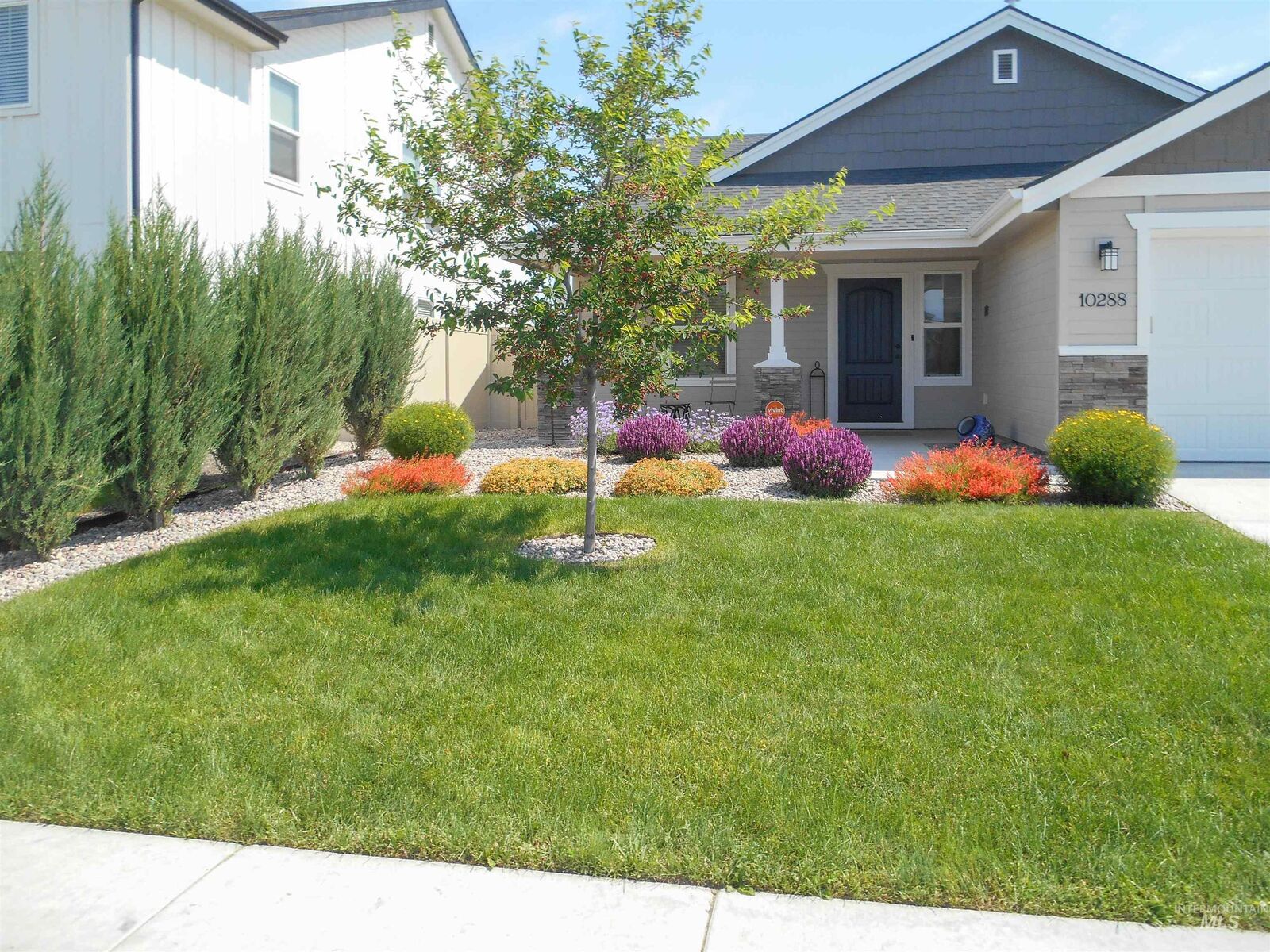 Property Photo:  10288 Longtail Dr.  ID 83687 
