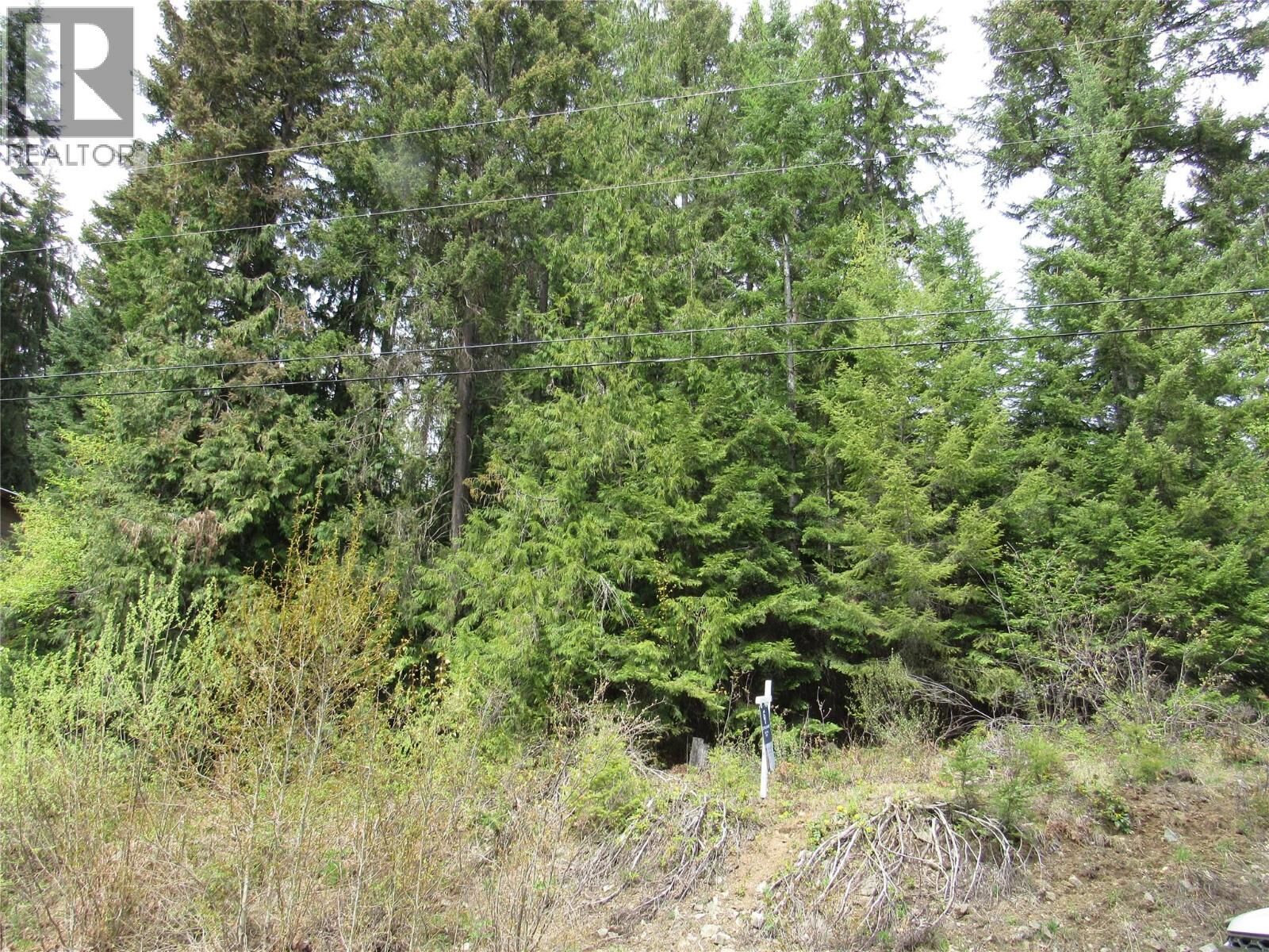 Property Photo:  Lot 19 Nelson Rural 08182.190 Other  BC V0G 2G3 