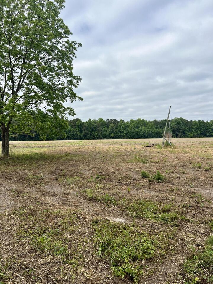 Property Photo:  193 Evergreen Lane  SC 29477 