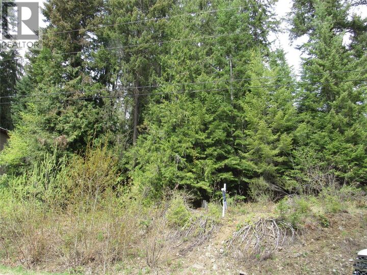 Property Photo: Lot 19 Nelson Rural 08182.190 Other BC V0G 2G3