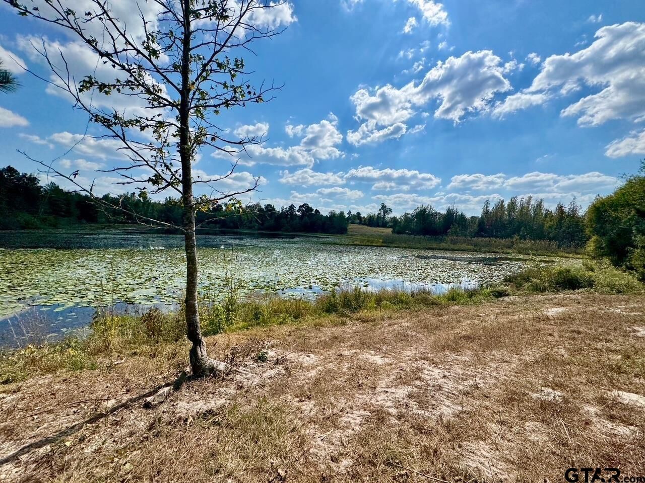 Property Photo:  Lot 17 Cr 3545  TX 75765 