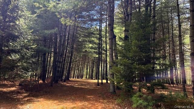 Property Photo: Lot 12 White Road NY 12737
