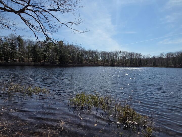 Property Photo:  6446 N Sunshine Drive  MI 49644 