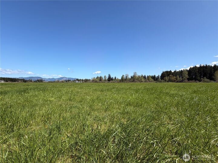 Property Photo:  0 Xxx W Forest Green Lane  WA 98541 