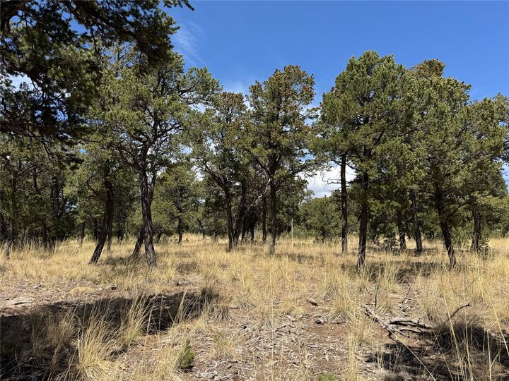 Property Photo: 17 Wild Wings Circle NM 87552