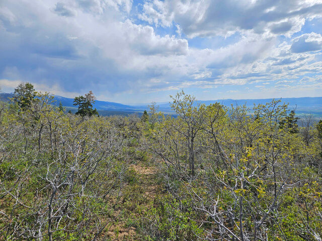 Property Photo:  1246 E North Fork Rd S 1246  UT 84629 
