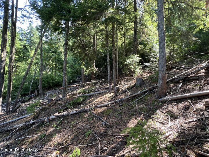 Property Photo:  520 Alpine Dr  ID 83830 