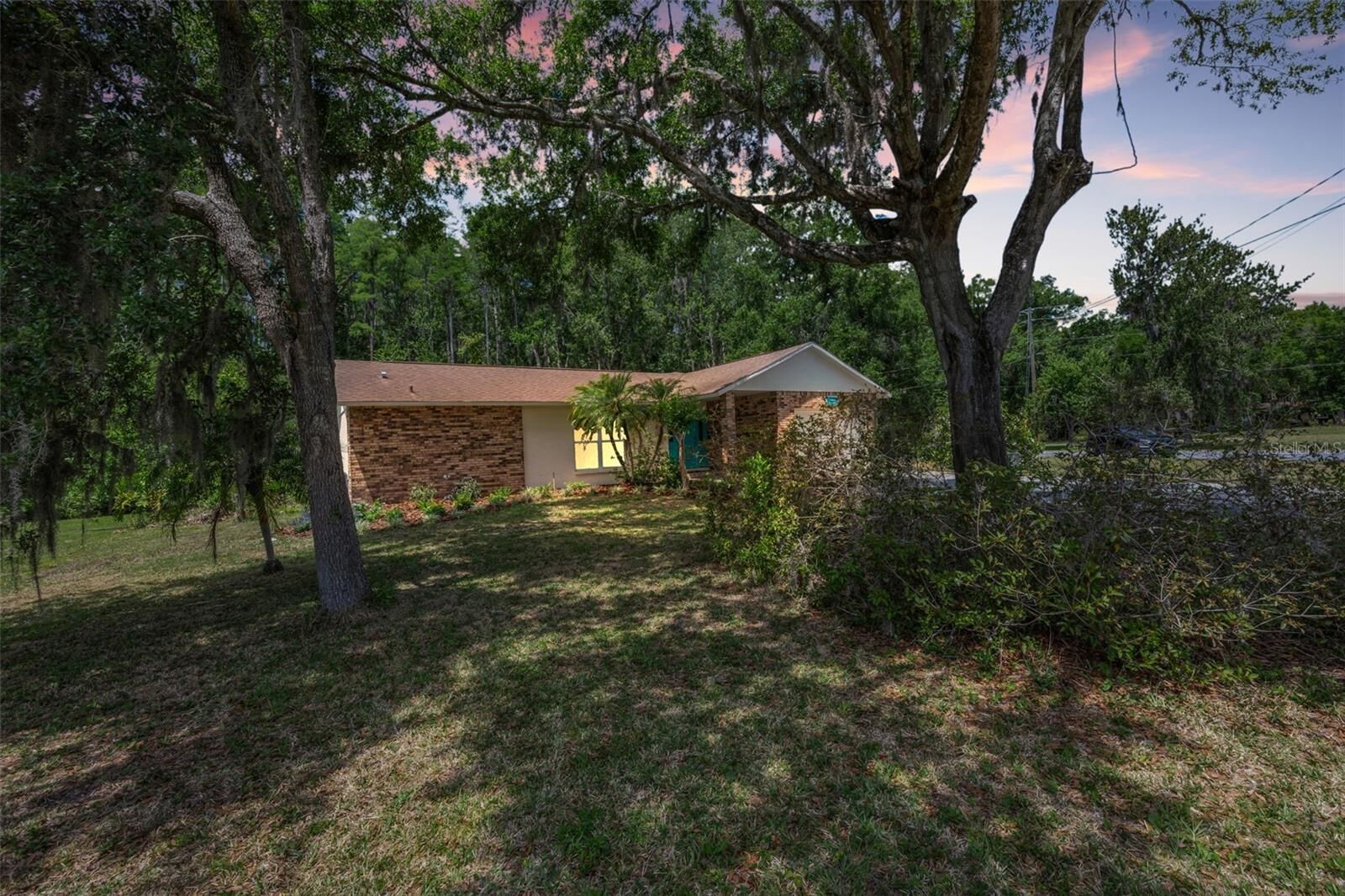 Property Photo:  21823 Shamu Drive  FL 34639 