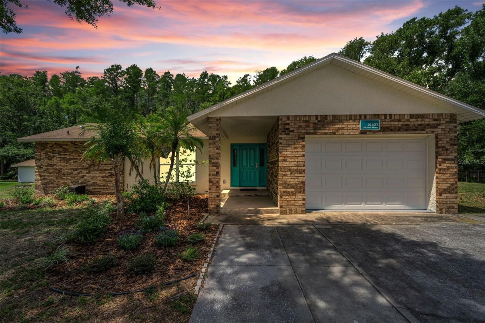 Property Photo:  21823 Shamu Drive  FL 34639 