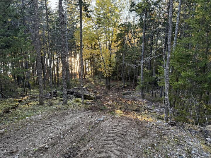 Property Photo:  56 Jordan Harbor Road  ME 04693 