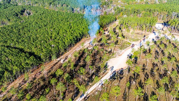 Property Photo:  Lot 2 Blackbuck Drive  TX 75960 