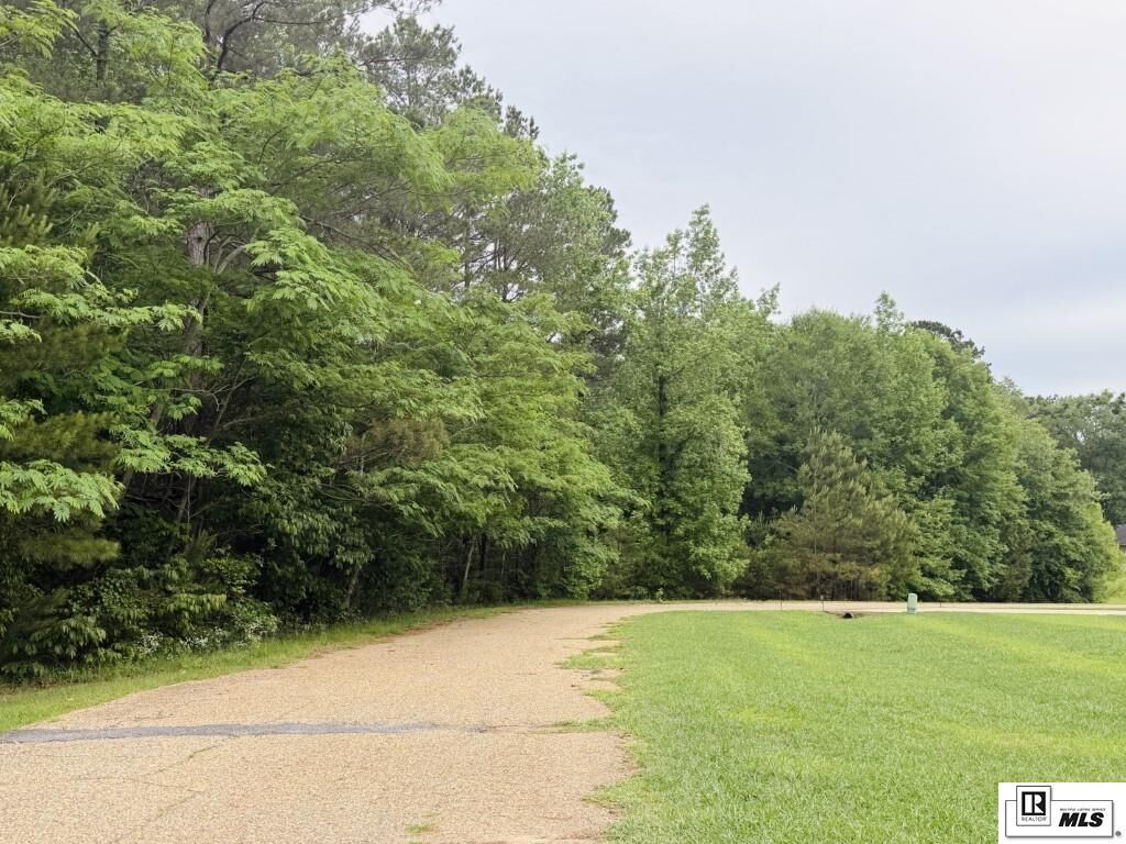 Property Photo:  119 Cove View Road  LA 71245 