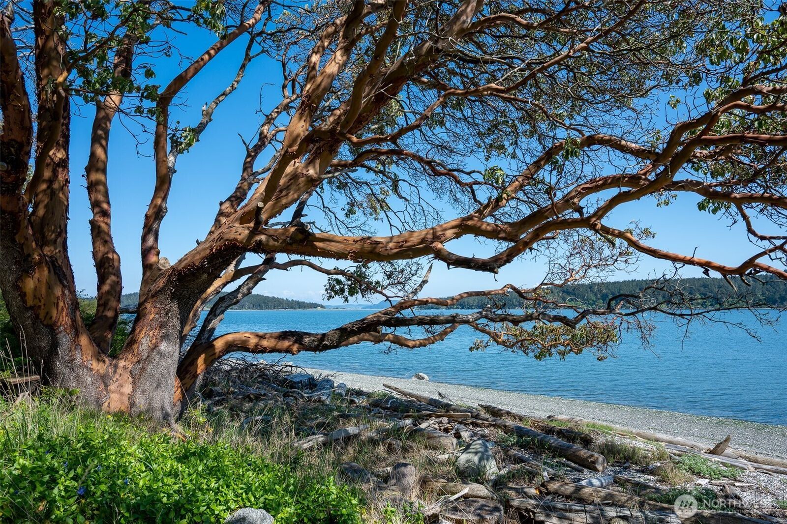 Property Photo:  1484  Islandale Road  WA 98261 