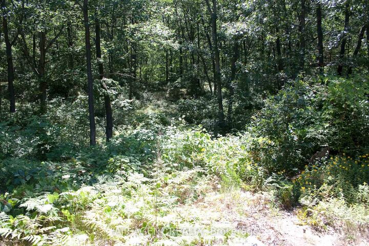Property Photo:  10267 Daniel Avenue  ON N0M 1T0 