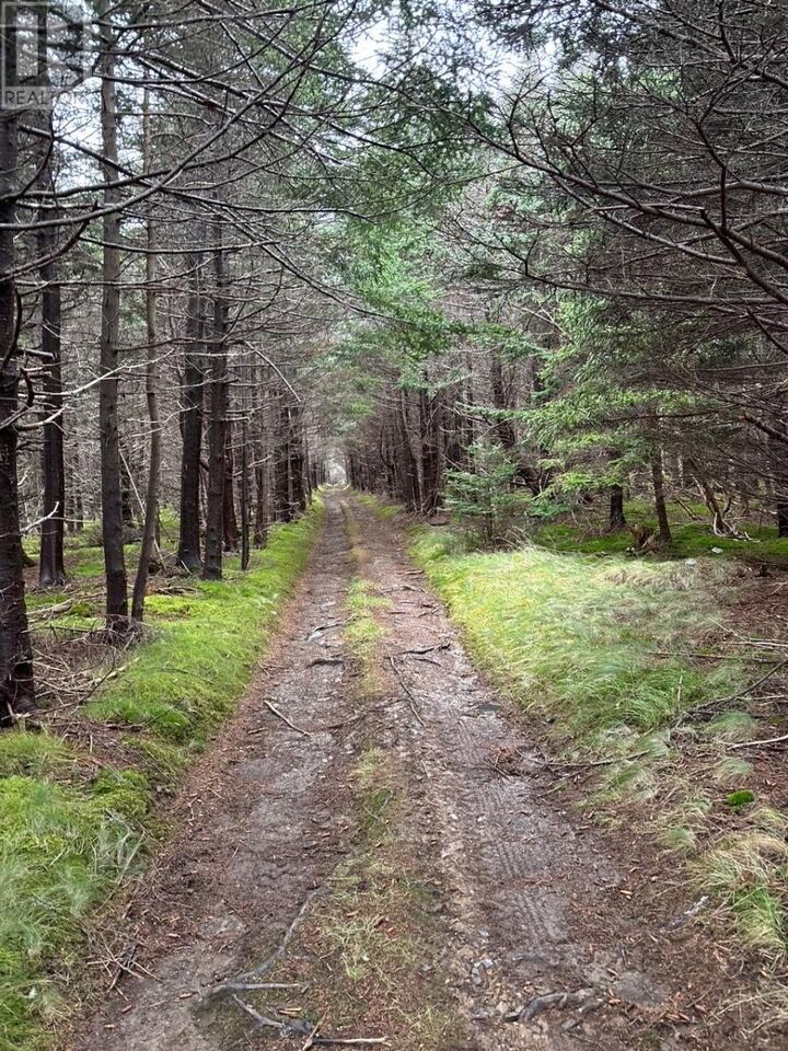 Property Photo:  0 Lance Cove Road  NL A0A 4H0 