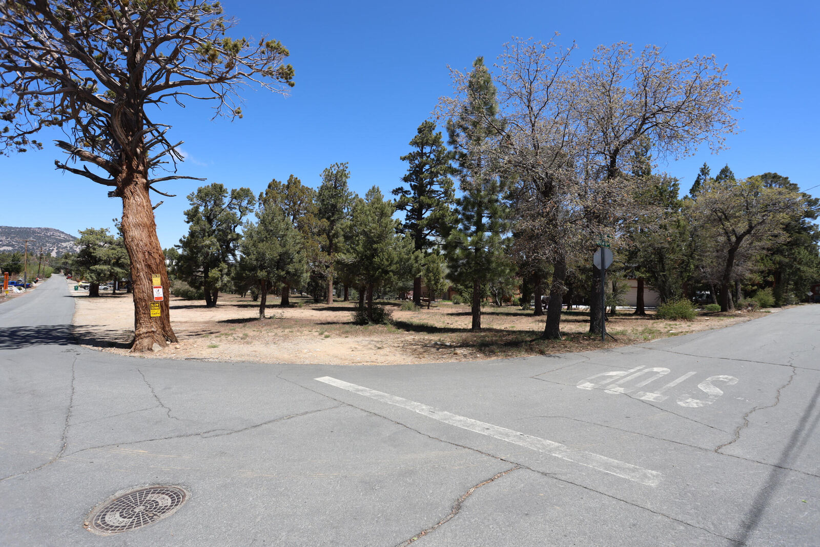 Property Photo:  0 Dixie Lee  CA 92386 