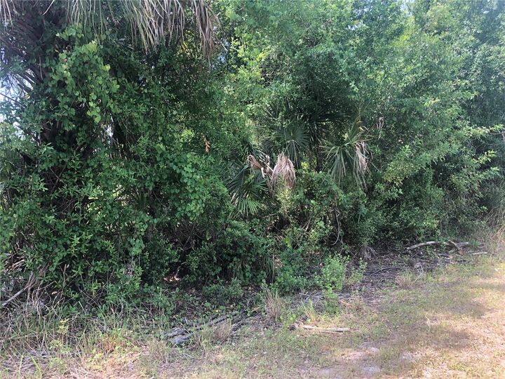 Property Photo:  Dandurand Avenue  FL 34291 