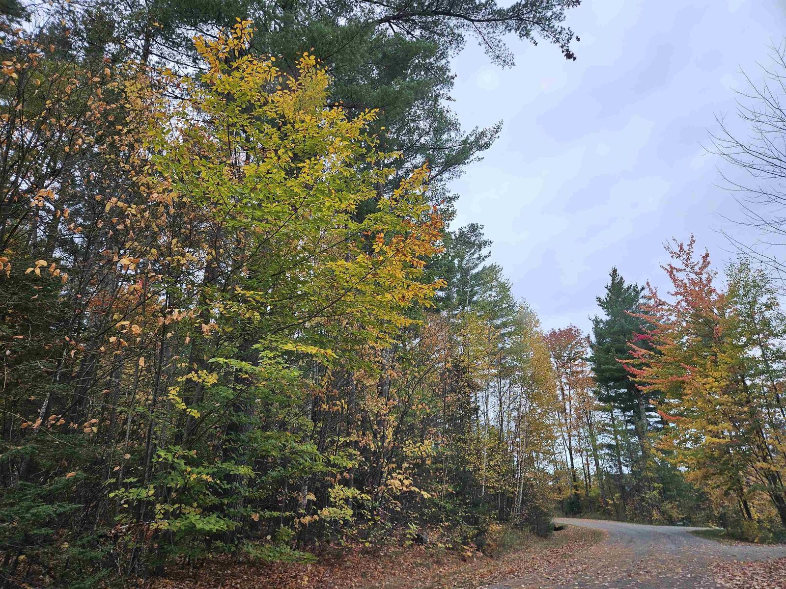 Property Photo:  Lot 20 Point Of View Drive  NH 03580 