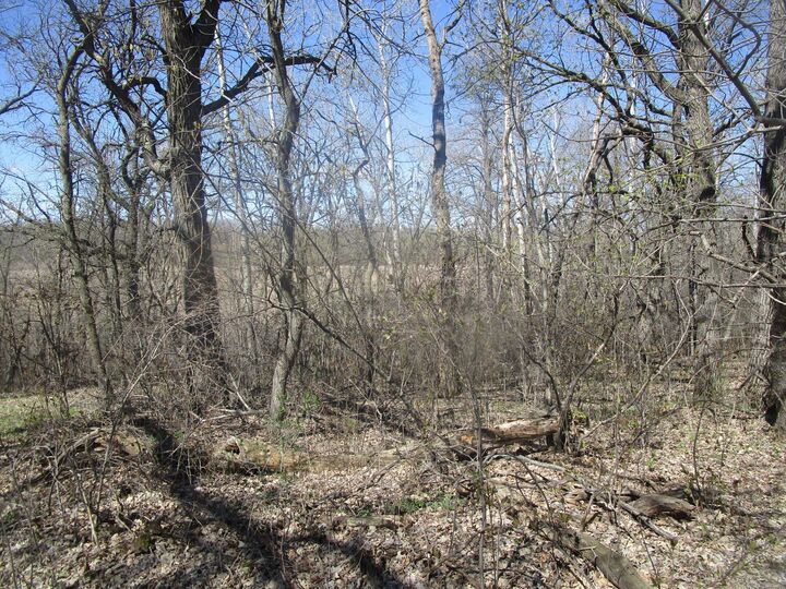 Property Photo:  Tbd Burgen Terrace SE  MN 56308 