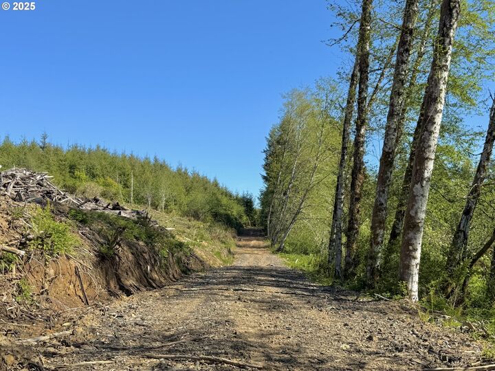 Property Photo:  73000 Clatskanie Heights Rd  OR 97016 