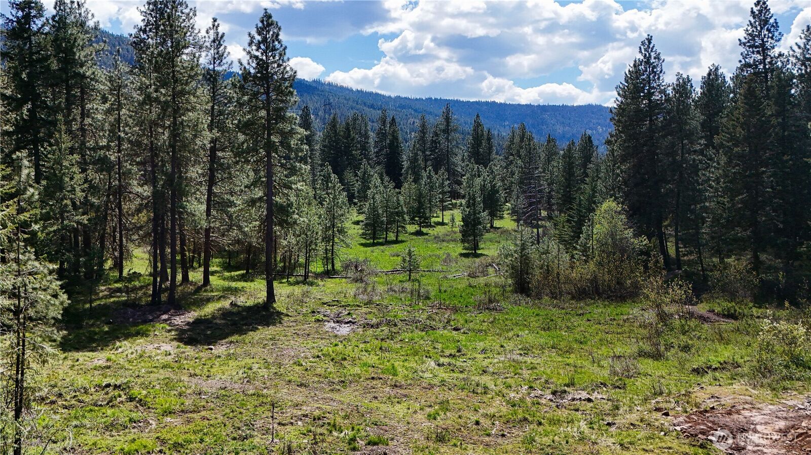 Property Photo: 325 Graham Road WA 98922