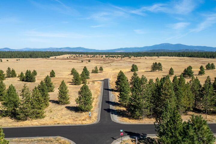 Property Photo:  Nka W Findley Ln Lot P  WA 99006 