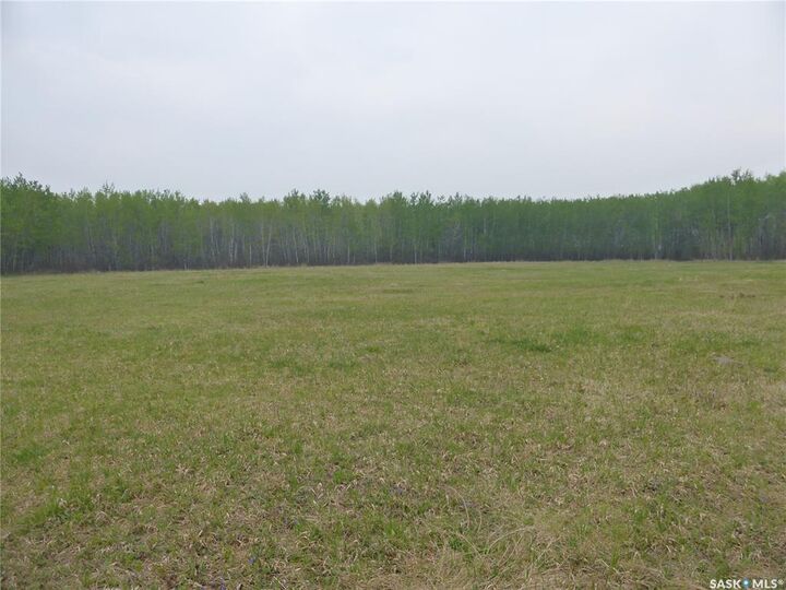 Property Photo:  3 Kopp Drive  SK S0M 1J0 