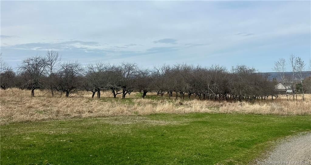Property Photo:  Lot Route 105  NB E3A 7L8 