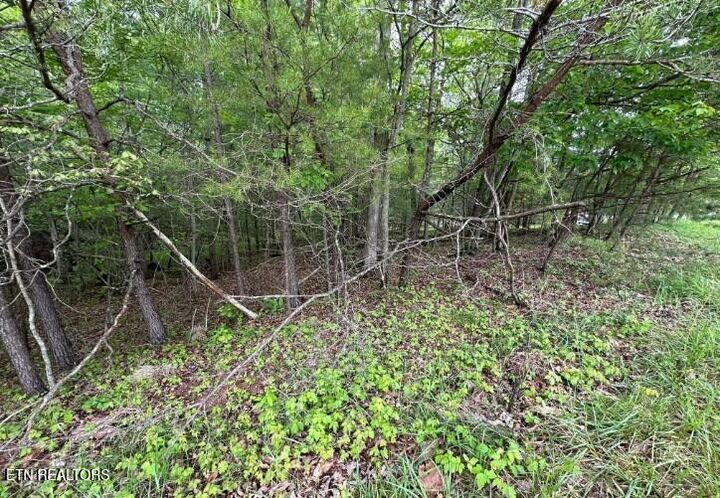 Property Photo:  110 & 112 Forest Hill Drive  TN 38558 