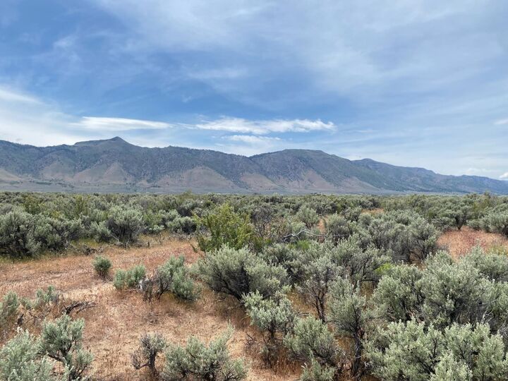 Property Photo:  446 Honey Lake  CA 96113 