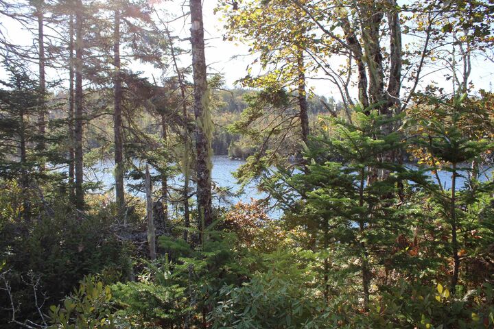 Property Photo:  Lot 13 Darius Lane  NS B0J 2L0 