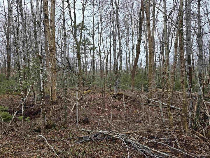 Property Photo:  Lot 4A Kemptown Road  NS B6L 2J1 