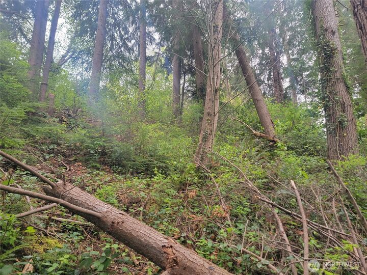 Property Photo:  1600  Laura Street  WA 98520 