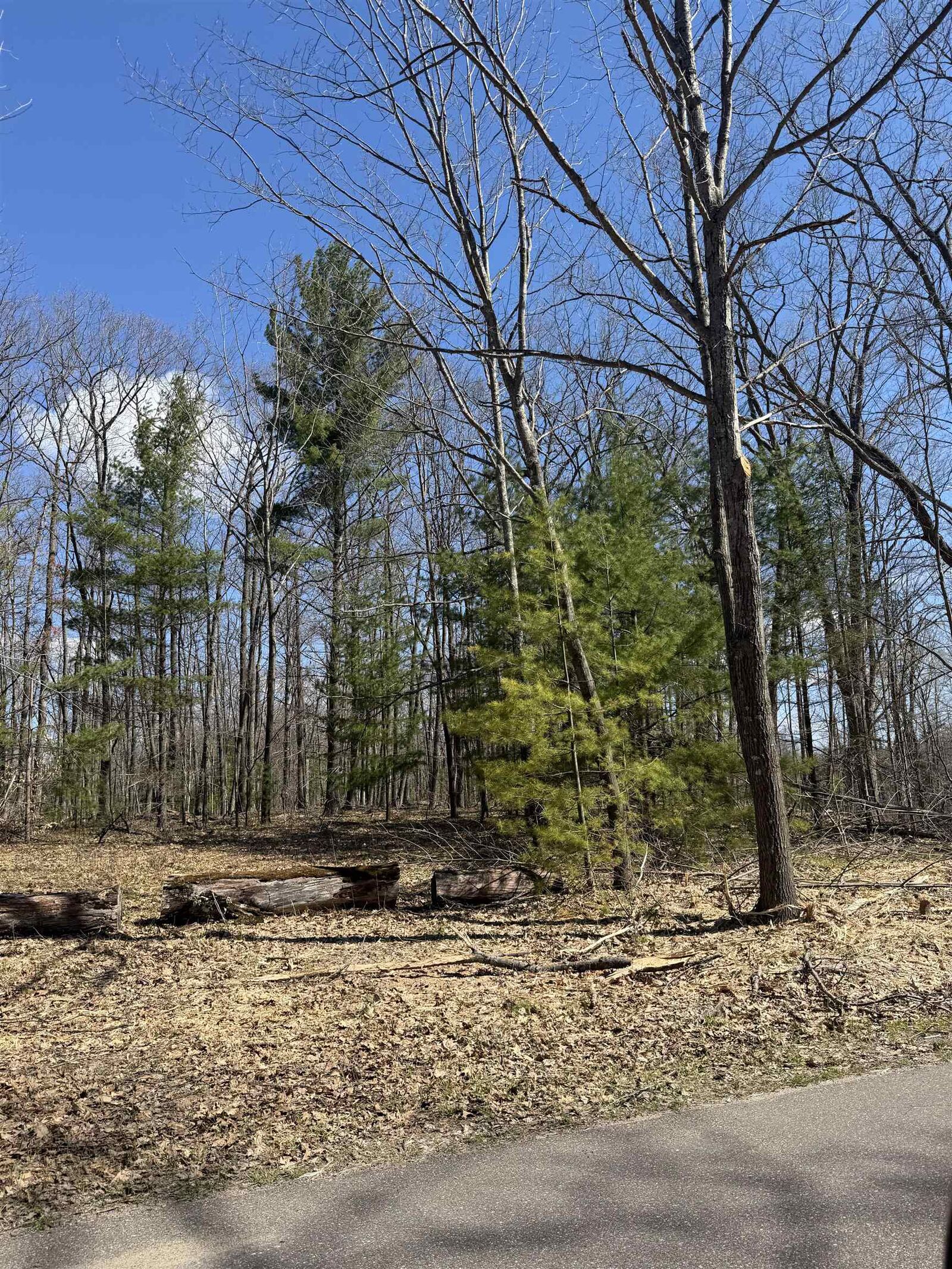 Property Photo: Archibald Lake Road WI 54175