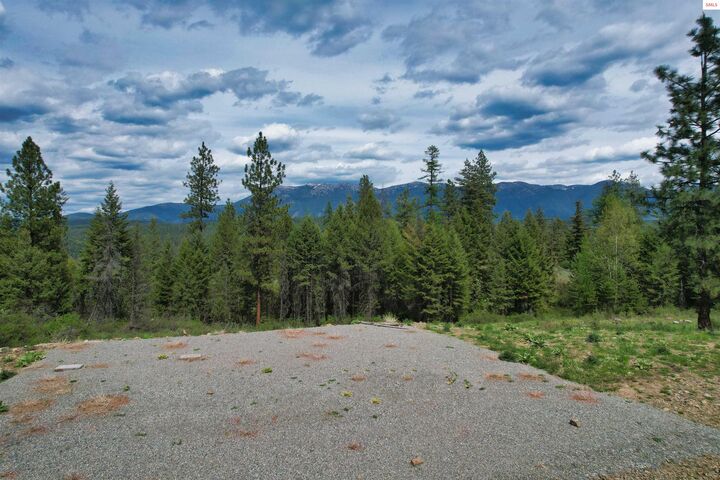 Property Photo:  Nna 20 Acres Two Tail Road  ID 83805 