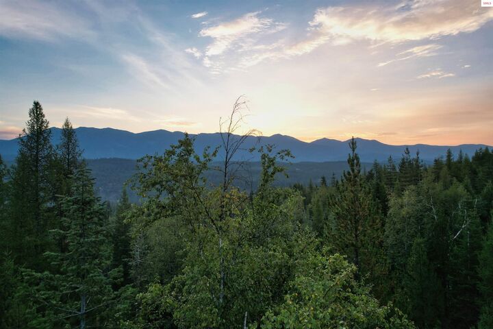 Property Photo:  Nna 20 Acres Two Tail Road  ID 83805 