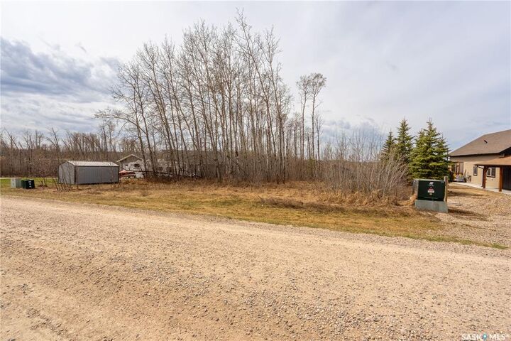 Property Photo:  520 Diamond Willow Drive  SK S0M 1A0 