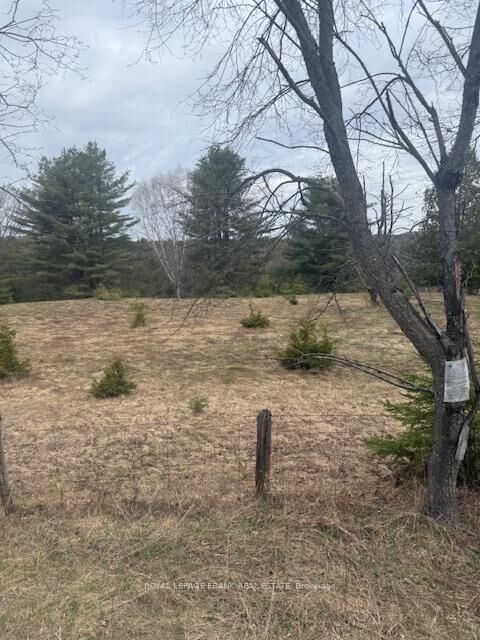 Lot 2 Detlor Road — photo 1