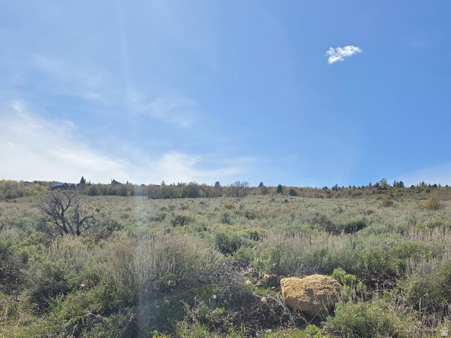 Property Photo:  2575 Serviceberry Dr  UT 84028 