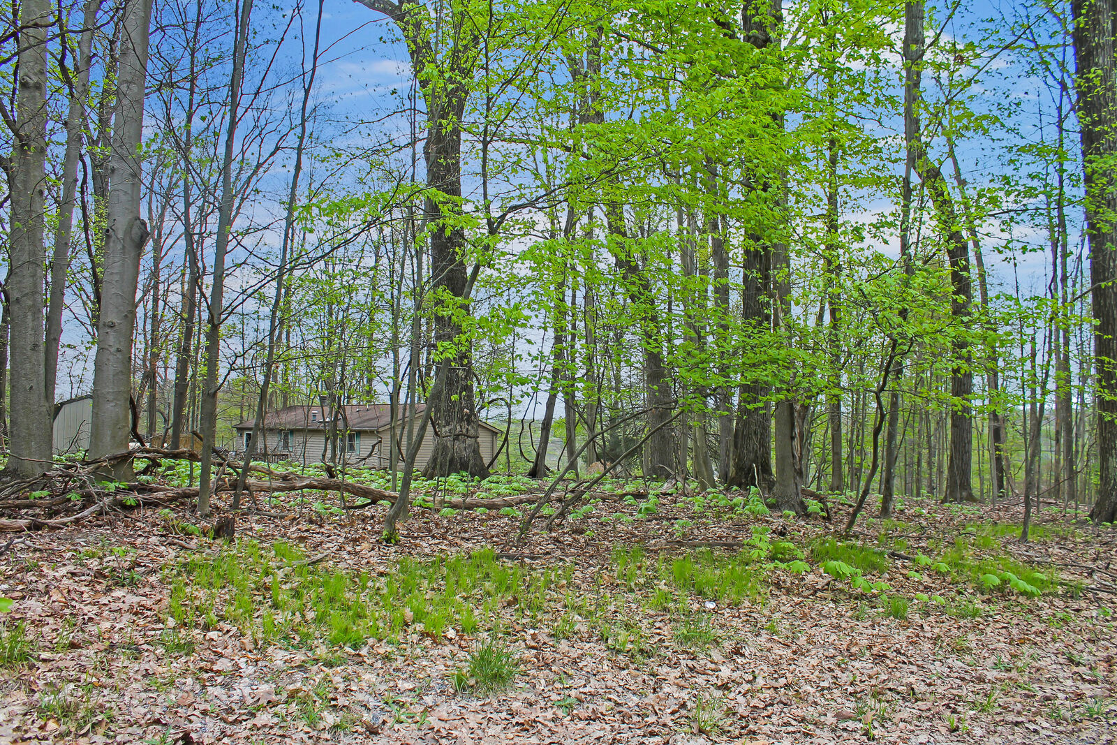 Property Photo:  5 Admiral Dunbar Rd  PA 15801 