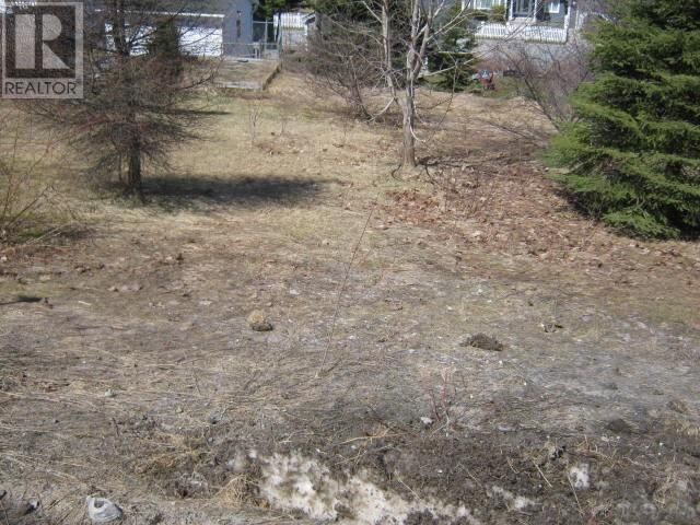 Property Photo:  5 Princess Avenue  NL A2H 1N2 