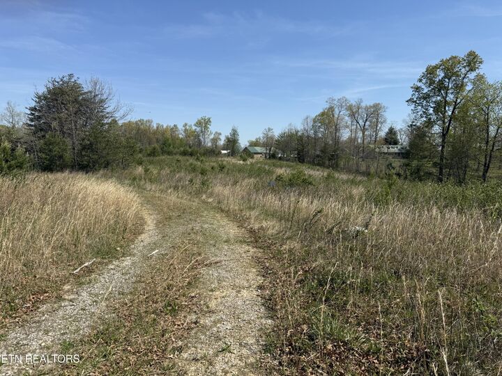 Property Photo:  0 Conley Rd  TN 38571 