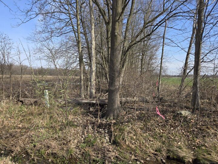 Property Photo:  0 Weber (Lot A) Road  MI 48063 