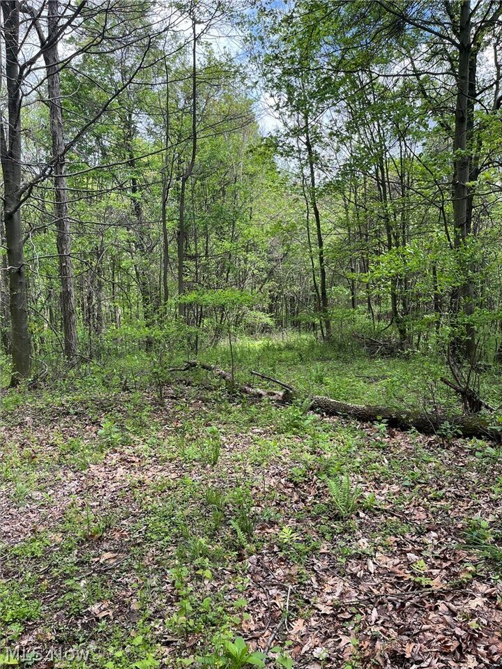 Property Photo:  Sandy Ridge Road  OH 44699 