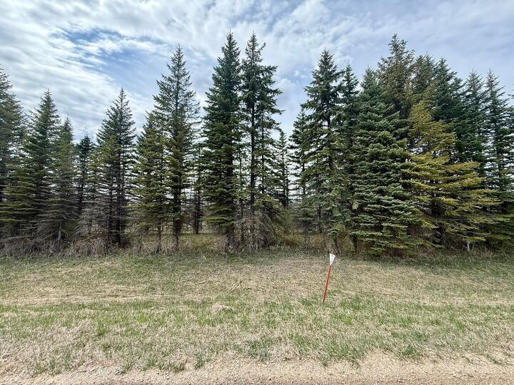 Property Photo:  Xxx 245th Ave  MN 56334 