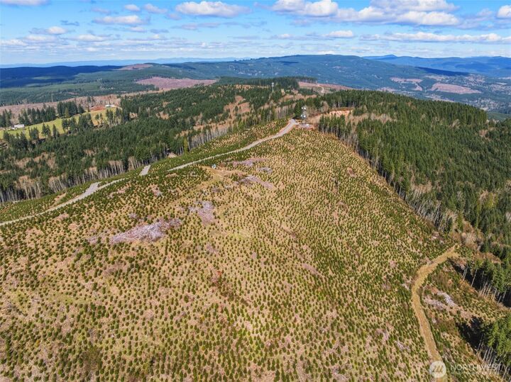 Property Photo:  0 Lot 4  Hamilton Heights Road  WA 98626 