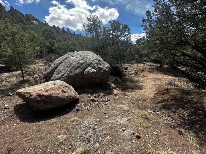 Property Photo:  938 Shoshone Drive  CO 81212 
