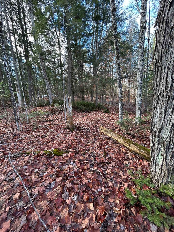 0 Mill Lake Road — photo 1