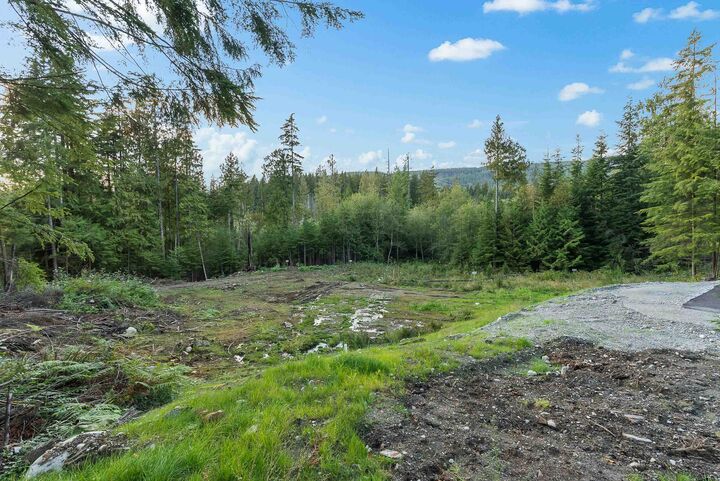 Property Photo: 12685 Carr Street BC V4S 1B9